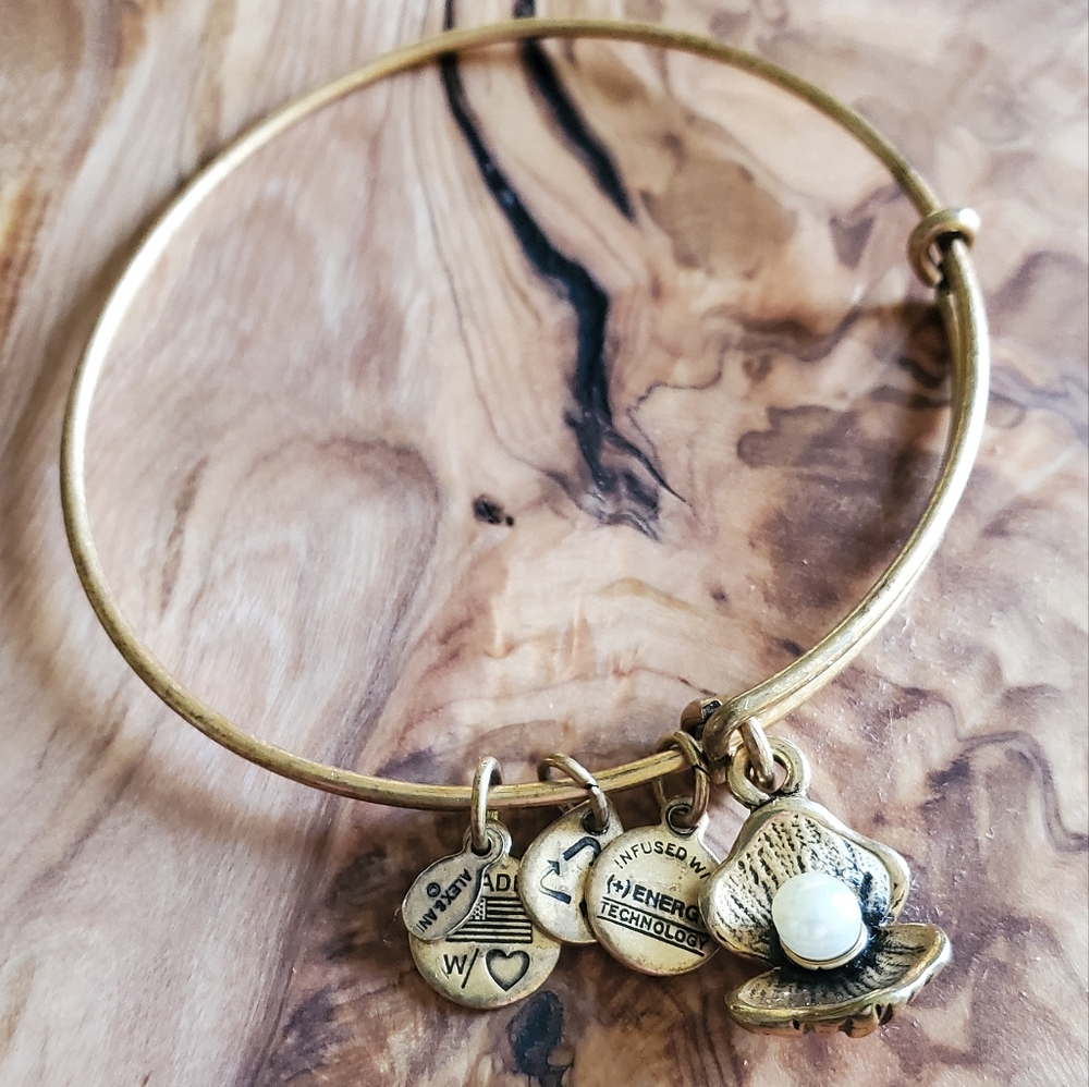 3/$18 Alex and Ani Oyster Bangle Bracelet